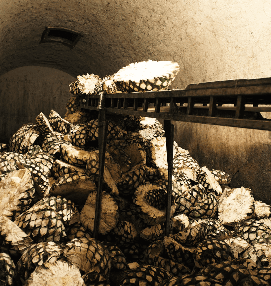 Hand Harvesting