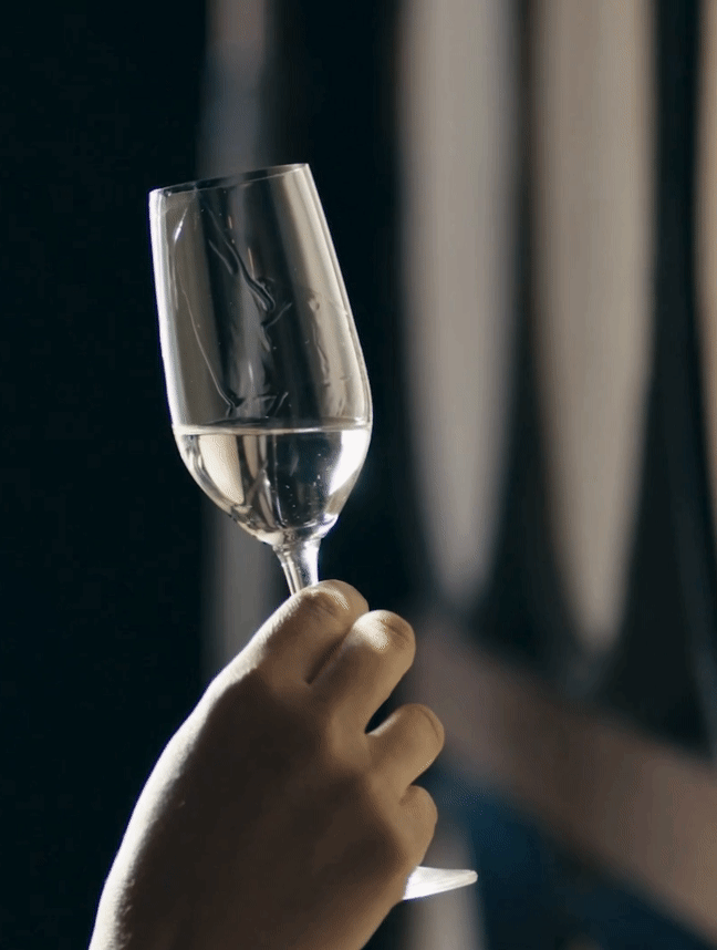 Herradura tequila swirling in a glass